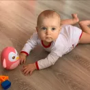 Keljfeljancsi játék Baby Mix pingvin rózsaszín