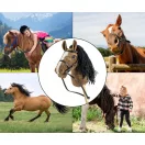 Hobby Horse Plus Milly Mally brown