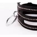 Designer Traingo Collar Made in Calf Softy Leather Black