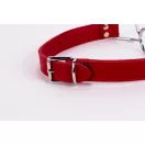 Calf Softy Leather Top and Lamb Leather Padding with Stainless Steel Mouth Piece Red
