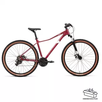 Koliken Strion 29er női MTB kerékpár L Bordó